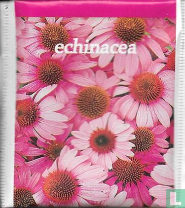  echinacea - Afbeelding 1