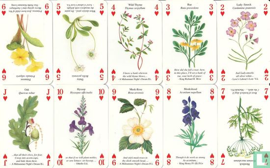 The Famous Shakespeare's Flowers Playing Cards - Image 3