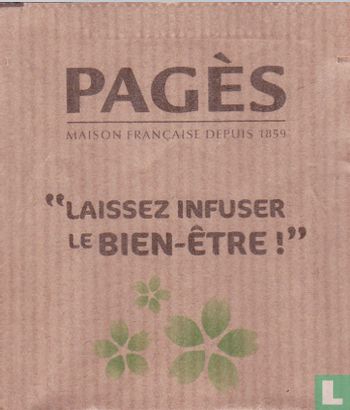 Après-Repas saveur Citron - Afbeelding 1