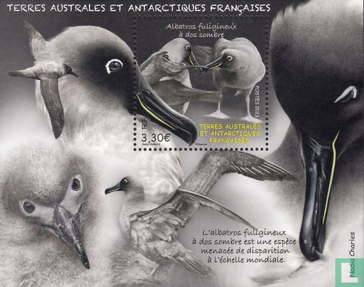 vacuüm Herhaal meloen Light-Mantled Sooty Albatross 3,30 (2023) - French Southern and Antarctic  Lands - LastDodo