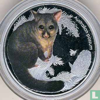 Australië 50 cents 2013 (PROOF) "Australian possum" - Afbeelding 2