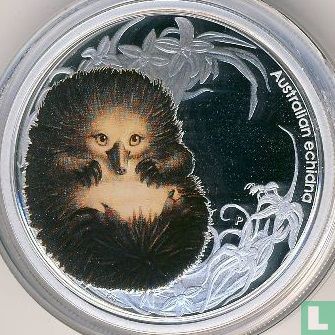 Australië 50 cents 2013 (PROOF) "Echidna" - Afbeelding 2