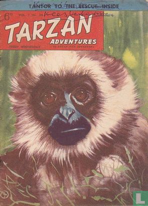 Tarzan Adventures Vol. 7 No.24 - Bild 1
