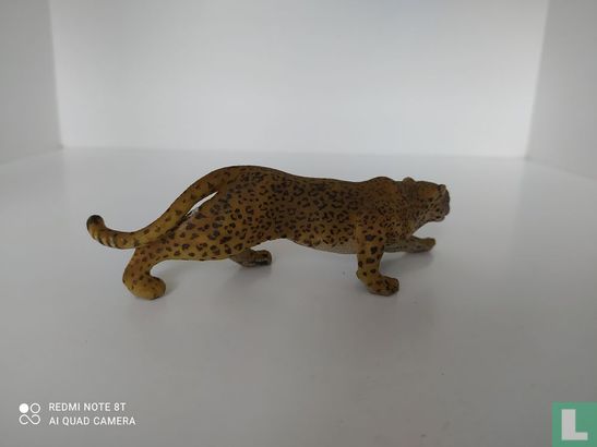 Jaguar - Image 3