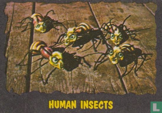 Human Insects