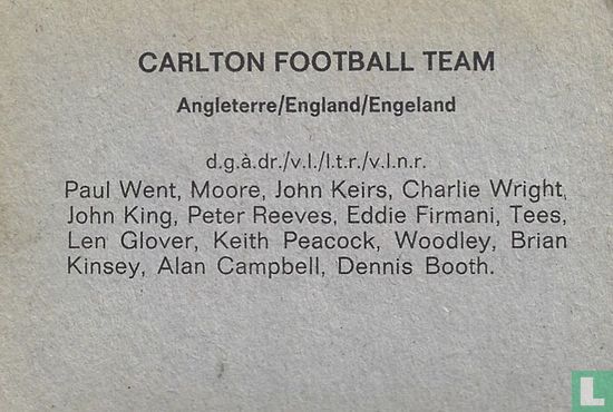 Carlton Football Team - Image 2