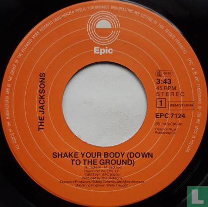 Shake Your Body (Down to the Ground) - Image 3