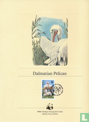 Pélican Dalmatien
