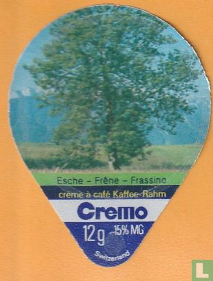 Esche-Frêne-Frassino