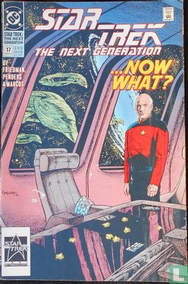 Star Trek: The Next Generation 17 "...now what?" - Afbeelding 1