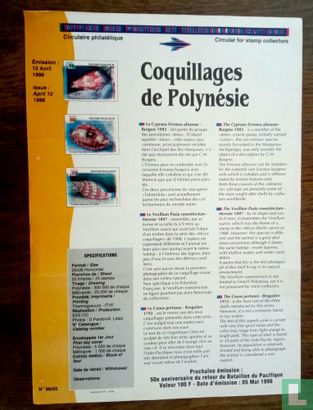 Coquillages de Polynèsie 