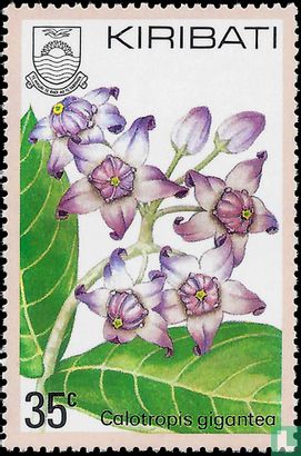 Flora