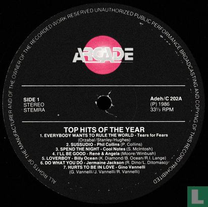 Top Hits of the Year - Image 3
