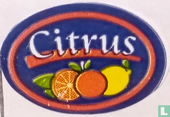 Citrus 3 fruits