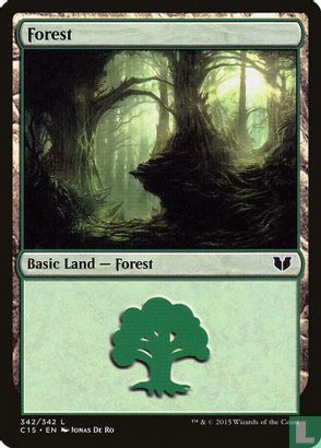 Forest - Bild 1