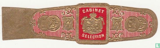 Cabinet Selection - Image 1
