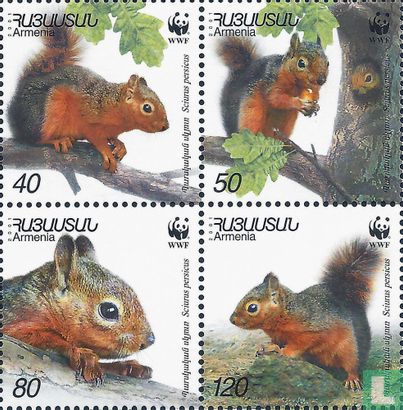WWF - Écureuil de Caucase