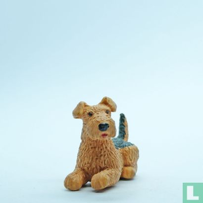 Dusty (Airedale Terrier) - Image 1