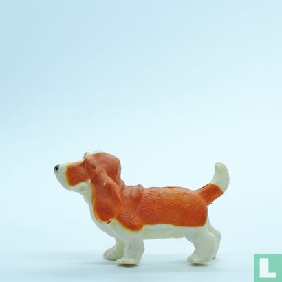 Scooter (Basset) - Image 3