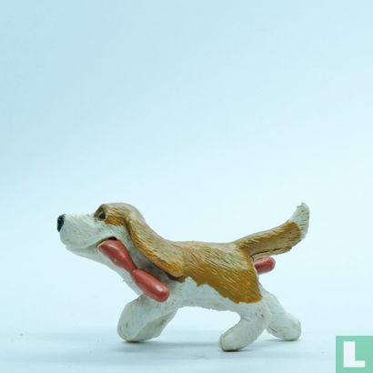 Max (basset hound) - Image 3