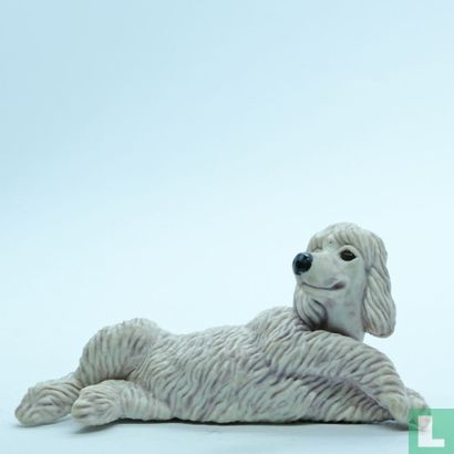 Blanche (poodle) - Image 1