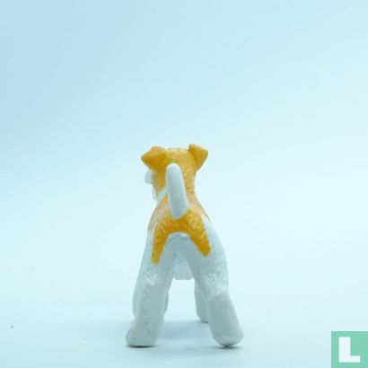 Shera (Wire Haired Fox Terrier) - Bild 2
