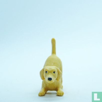 Buddy - Image 1