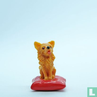 Pepe (Chihuahua) - Image 1
