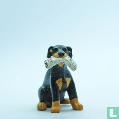 Kurt (Doberman) - Bild 1