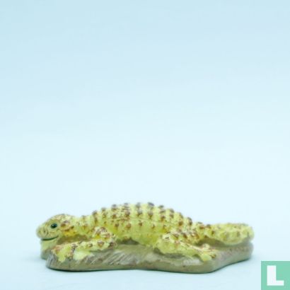 Gecko - Afbeelding 3