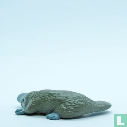 Duck Billed Platypus - Image 2
