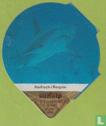 Haifisch / Requin