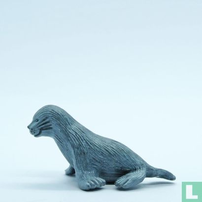 New Zealand Fur Seal - Afbeelding 3