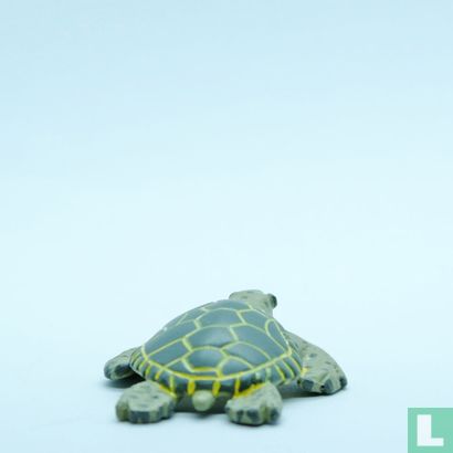 Loggerhead Turtle - Afbeelding 2