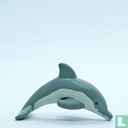 Bottlenose Dolphin - Afbeelding 1