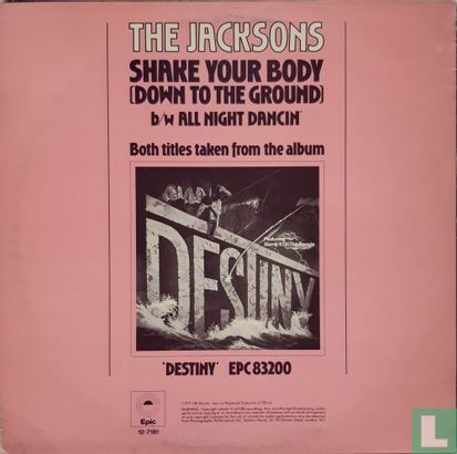 Shake Your Body (Down to the Ground) (Special Disco Remix) - Image 2