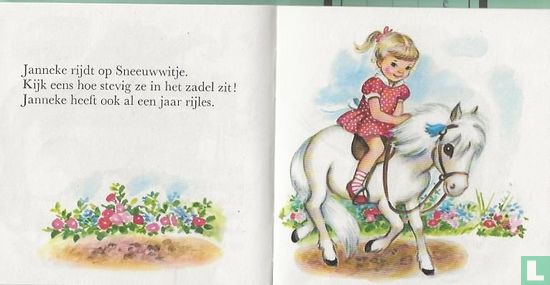 Op de Ponyweide - Afbeelding 3