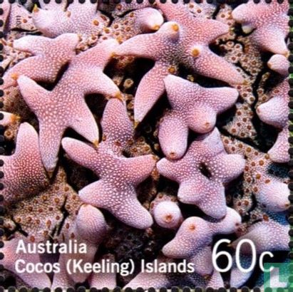 Kleuren van het koraalrif