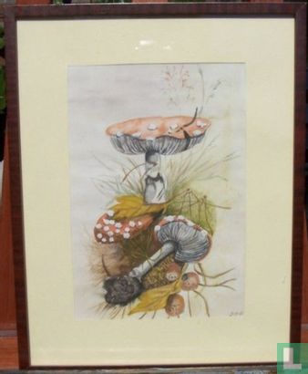 mushrooms in forest - Image 1