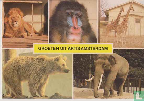 Groeten uit Artis Amsterdam