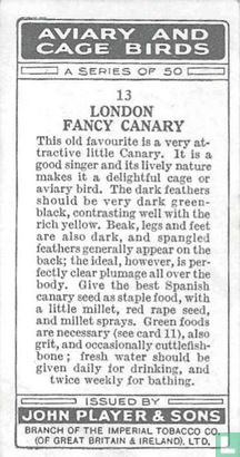 London Fancy Canary - Image 2