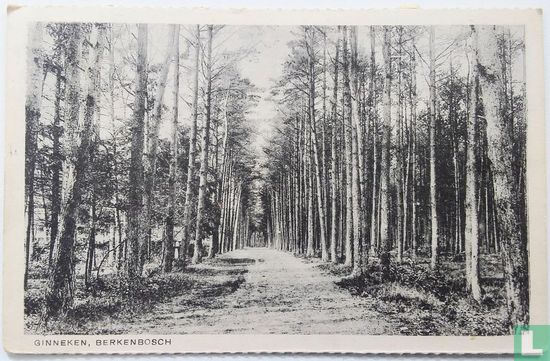 Ginneken , Berkenbosch - Bild 1