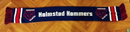 Halmstad Hammers Hockey club