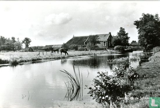 Gezicht op de Scheene