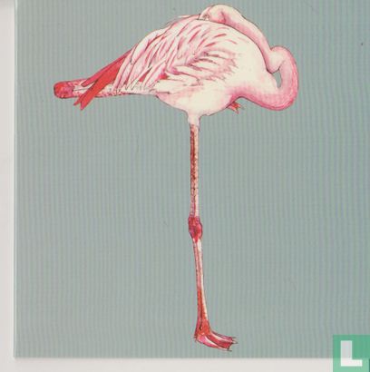 Artis: Chileense flamingo - Afbeelding 1