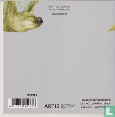 Artis: Tweevingerige luiaard - Afbeelding 2