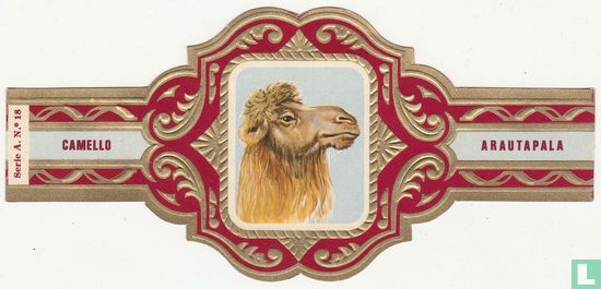 Camello - Afbeelding 1