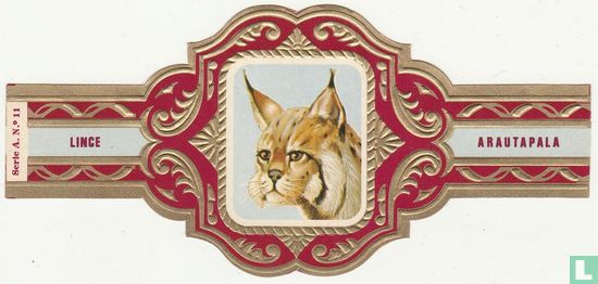 Lince - Afbeelding 1