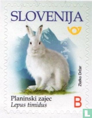 Endangered mammals