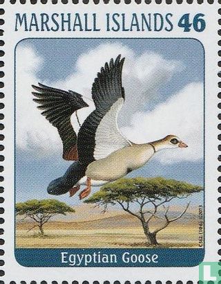 Oiseaux II